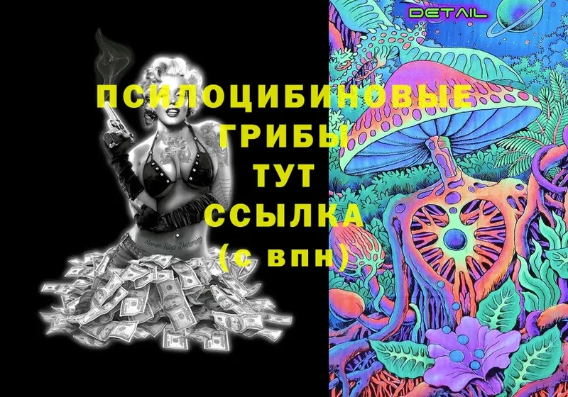 наркошоп  мега ссылки  Галлюциногенные грибы Psilocybe  Кизел 