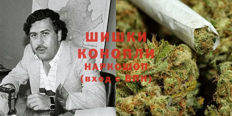 Бошки Шишки VHQ  Кизел 